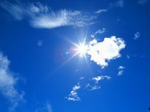 夏日天空的那匹红马,夏日天空下的红马传奇