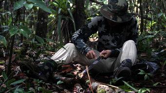 丛林求生,揭秘生存法则与智慧