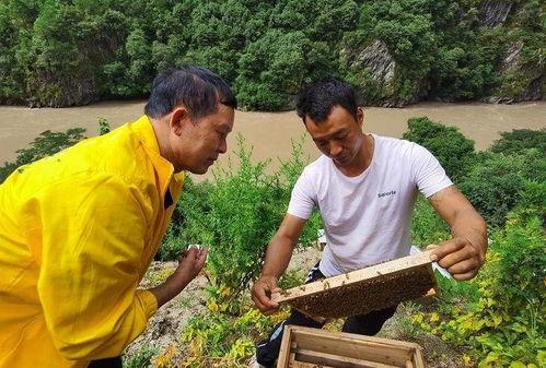 养蜂人（普通话版）,养蜂人的甜蜜事业